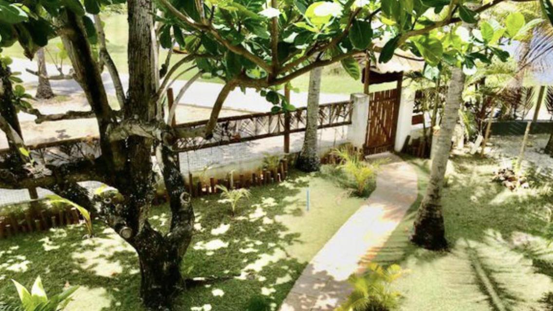 Paradise Beach House Imbassai Ngoại thất bức ảnh